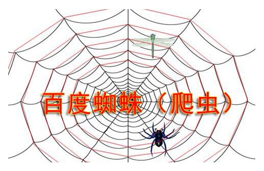 搜索引擎蜘蛛陷阱有哪些？如何避免蜘蛛陷阱