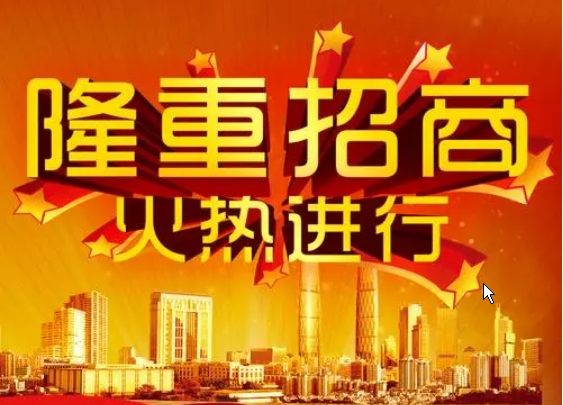 招商網(wǎng)站建設(shè)：連接商機(jī)、吸引投資的數(shù)字化路徑
